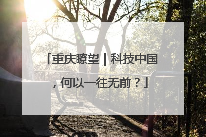 重庆瞭望｜科技中国，何以一往无前？
