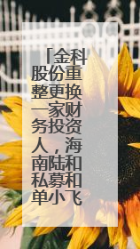 金科股份重整更换一家财务投资人，海南陆和私募和单小飞承接其投资额度