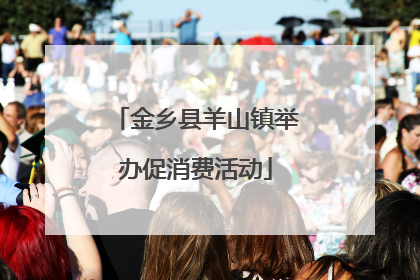 金乡县羊山镇举办促消费活动