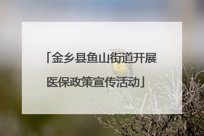 金乡县鱼山街道开展医保政策宣传活动