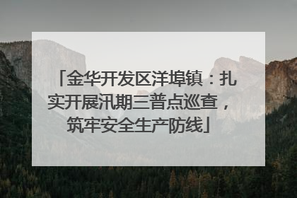 金华开发区洋埠镇：扎实开展汛期三普点巡查，筑牢安全生产防线