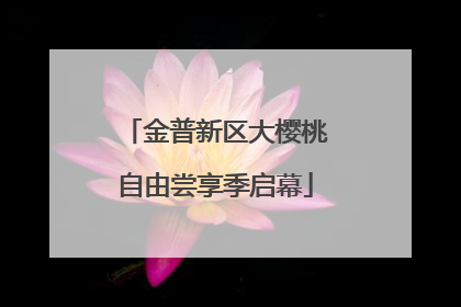 金普新区大樱桃自由尝享季启幕