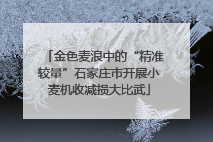 金色麦浪中的“精准较量”石家庄市开展小麦机收减损大比武