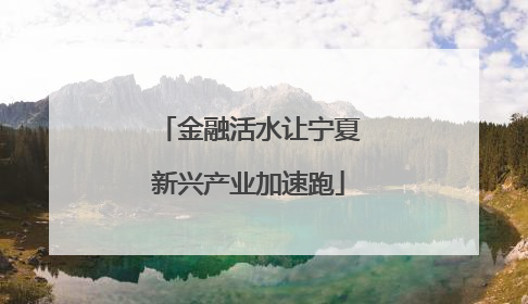 金融活水让宁夏新兴产业加速跑
