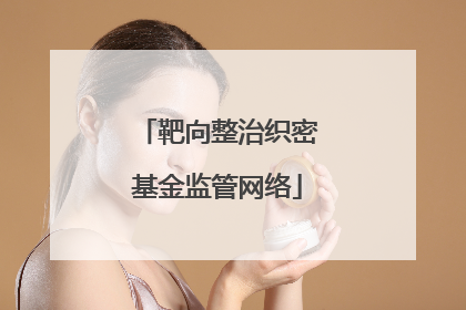 靶向整治织密基金监管网络