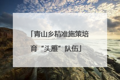 青山乡精准施策培育“头雁”队伍