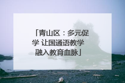 青山区：多元促学 让国通语教学融入教育血脉