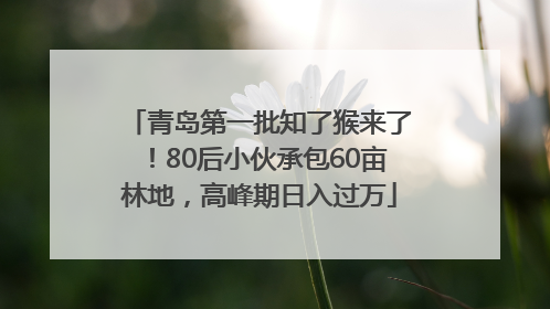 青岛第一批知了猴来了！80后小伙承包60亩林地，高峰期日入过万