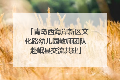 青岛西海岸新区文化路幼儿园教师团队赴岷县交流共建