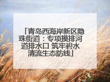 青岛西海岸新区隐珠街道：专项摸排河道排水口 筑牢碧水清流生态防线