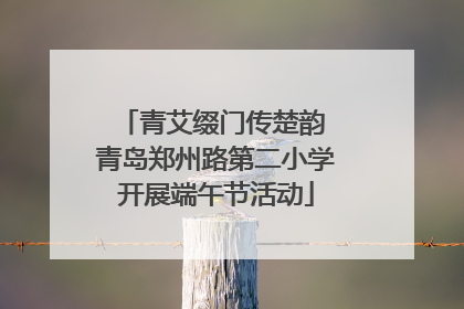 青艾缀门传楚韵 青岛郑州路第二小学开展端午节活动