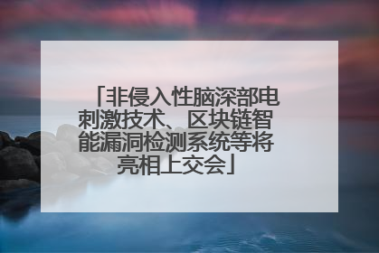 非侵入性脑深部电刺激技术、区块链智能漏洞检测系统等将亮相上交会
