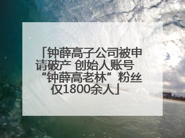 钟薛高子公司被申请破产 创始人账号“钟薛高老林”粉丝仅1800余人