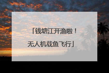 钱塘江开渔啦！无人机载鱼飞行