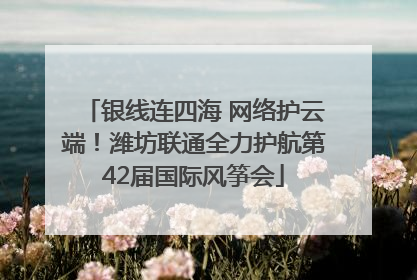 银线连四海 网络护云端！潍坊联通全力护航第42届国际风筝会