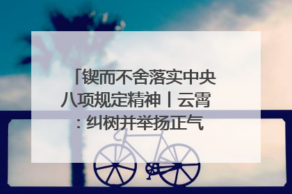 锲而不舍落实中央八项规定精神丨云霄：纠树并举扬正气 作风建设谱新章