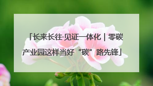 长来长往·见证一体化｜零碳产业园这样当好“碳”路先锋