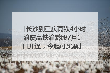长沙到重庆高铁4小时 渝厦高铁渝黔段7月1日开通，今起可买票