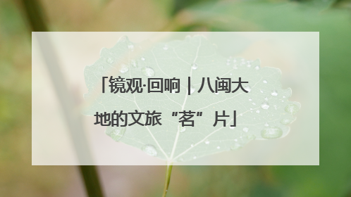镜观·回响｜八闽大地的文旅“茗”片