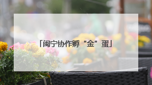 闽宁协作孵“金”蛋