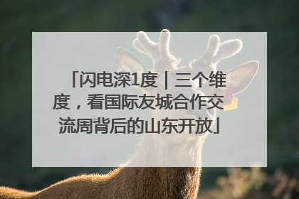 闪电深1度｜三个维度，看国际友城合作交流周背后的山东开放
