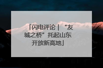 闪电评论｜“友城之桥”托起山东开放新高地
