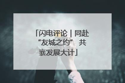 闪电评论｜同赴“友城之约” 共襄发展大计