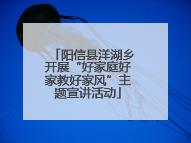 阳信县洋湖乡开展“好家庭好家教好家风”主题宣讲活动