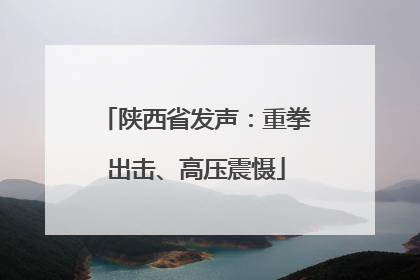 陕西省发声：重拳出击、高压震慑