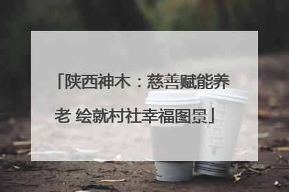 陕西神木：慈善赋能养老 绘就村社幸福图景