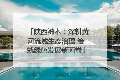 陕西神木：深耕黄河流域生态治理 绘就绿色发展新画卷