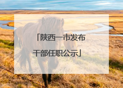 陕西一市发布干部任职公示