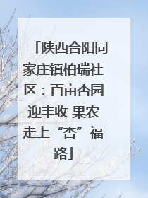 陕西合阳同家庄镇柏瑞社区：百亩杏园迎丰收 果农走上“杏”福路
