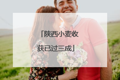 陕西小麦收获已过三成