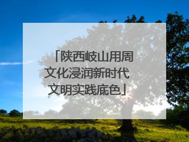 陕西岐山用周文化浸润新时代文明实践底色