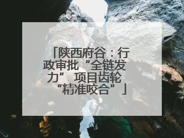 陕西府谷：行政审批“全链发力” 项目齿轮“精准咬合”