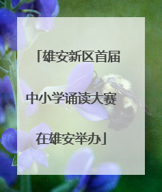 雄安新区首届中小学诵读大赛在雄安举办