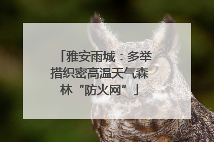 雅安雨城：多举措织密高温天气森林“防火网”