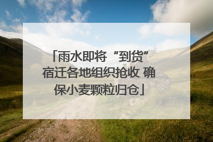 雨水即将“到货” 宿迁各地组织抢收 确保小麦颗粒归仓
