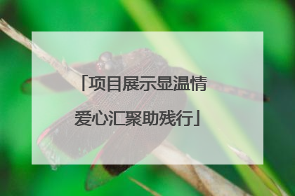 项目展示显温情 爱心汇聚助残行