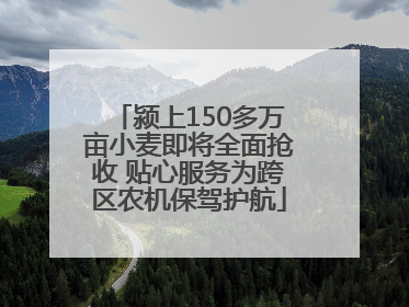 颍上150多万亩小麦即将全面抢收 贴心服务为跨区农机保驾护航