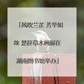 风吹兰芷 芳华如故 楚辞草木画展在湖南图书馆举办