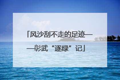 风沙刮不走的足迹——彰武“逐绿”记