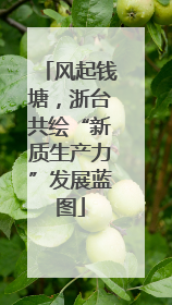 风起钱塘，浙台共绘“新质生产力”发展蓝图