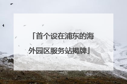首个设在浦东的海外园区服务站揭牌