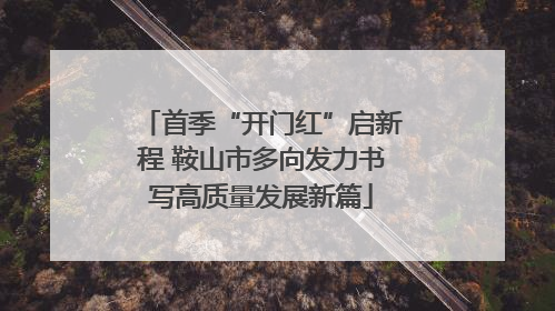首季“开门红”启新程 鞍山市多向发力书写高质量发展新篇