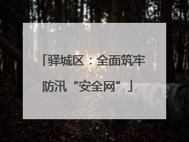 驿城区：全面筑牢防汛“安全网”
