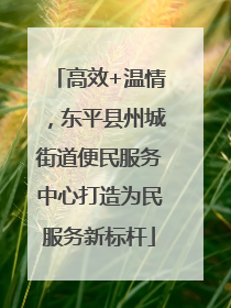 高效+温情，东平县州城街道便民服务中心打造为民服务新标杆
