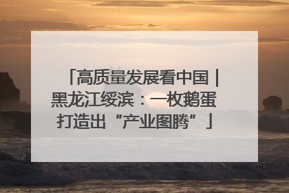 高质量发展看中国｜黑龙江绥滨：一枚鹅蛋打造出“产业图腾”