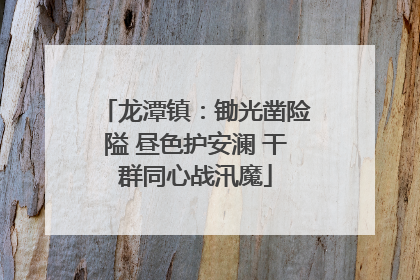 龙潭镇：锄光凿险隘 昼色护安澜 干群同心战汛魔